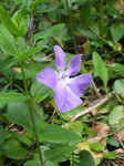 2008062812.jpg