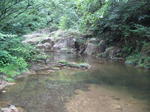 2008062867.jpg