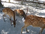 2008072012.jpg