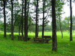 200808112.jpg