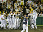 20080910tigers.jpg