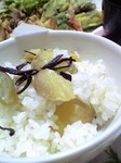 2008102623.jpg