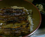 NEC_0038.JPG