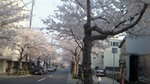 NEC_0160.jpg