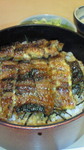 NEC_02021.jpg