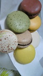 NEC_02211313.JPG