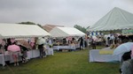 NEC_02501.jpg