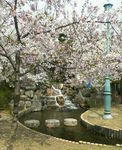 NEC_0256.JPG