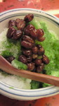 NEC_042511.JPG