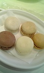 NEC_0740.JPG