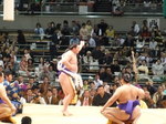 P1000291.JPG