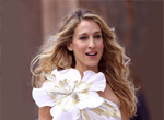 SATC1.jpg